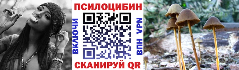 Галлюциногенные грибы Psilocybe  ОМГ ОМГ сайт  Россошь 