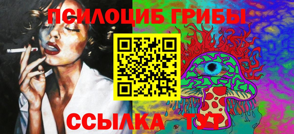Галлюциногенные грибы Psilocybe Россошь